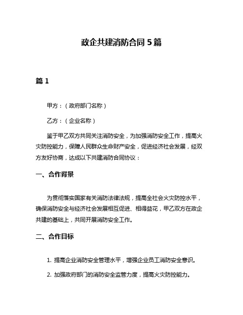 政企共建消防合同5篇