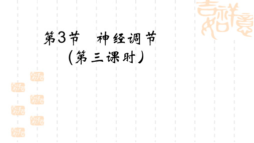 神经调节3 初中科学八年级浙教版课件