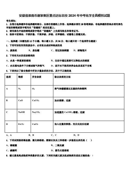 安徽省淮南市谢家集区重点达标名校2024届中考化学全真模拟试题含解析