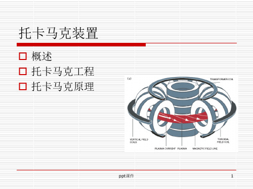 托卡马克装置原理  ppt课件