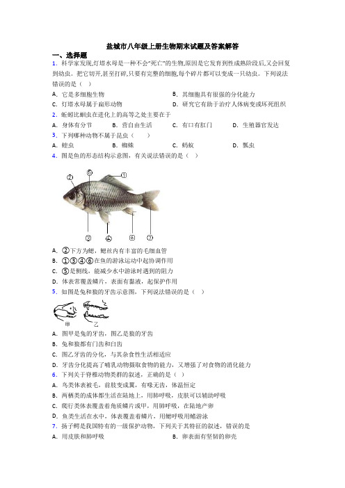 盐城市八年级上册生物期末试题及答案解答