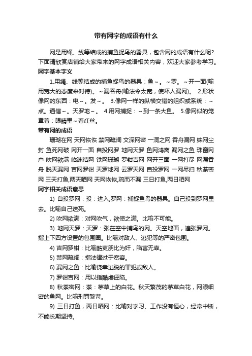 带有网字的成语有什么