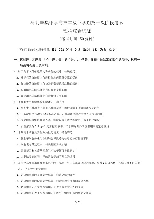 河北省辛集中学2020届高三3月线上模拟测试 理科综合试题(PDF版含答案)