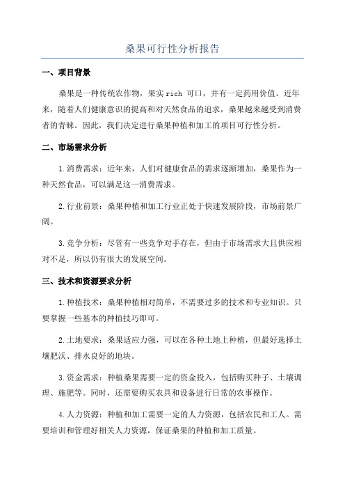 桑果可行性分析报告