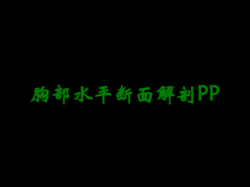 胸部水平断面解剖PP