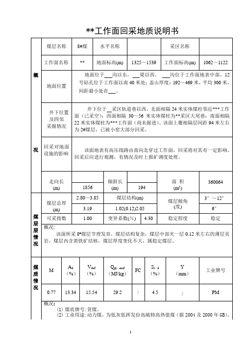 工作面回采地质说明书范例