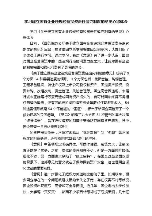 学习建立国有企业违规经营投资责任追究制度的意见心得体会