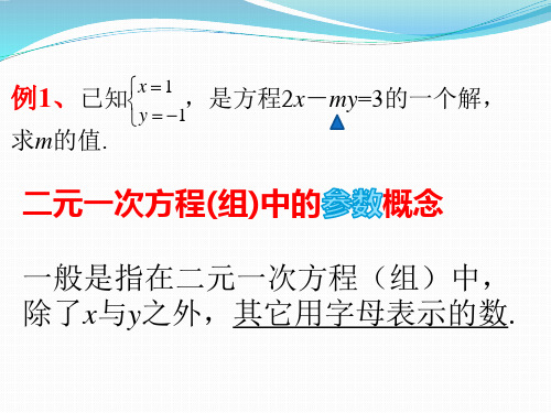 聚焦二元一次方程组中参数问题的求解