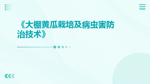 大棚黄瓜栽培及病虫害防治技术