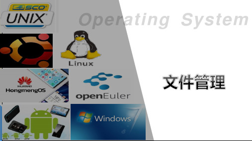 计算机操作系统(第二版)课件：文件和文件系统
