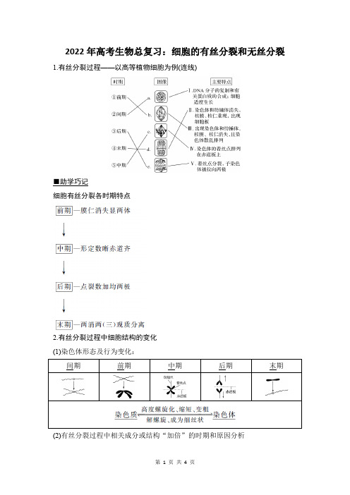 细胞的有丝分裂和无丝分裂