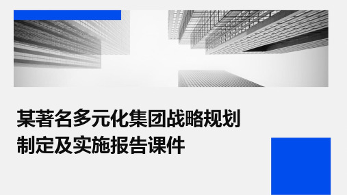 某著名多元化集团战略规划制定及实施报告课件