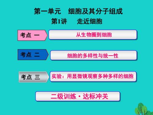 2017版高考生物一轮复习 第一单元 细胞及其分子组成 第1讲 走进细胞课件