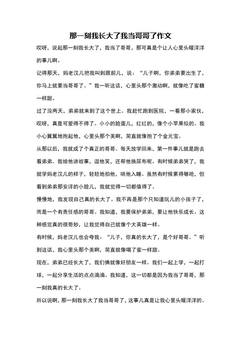 那一刻我长大了我当哥哥了作文
