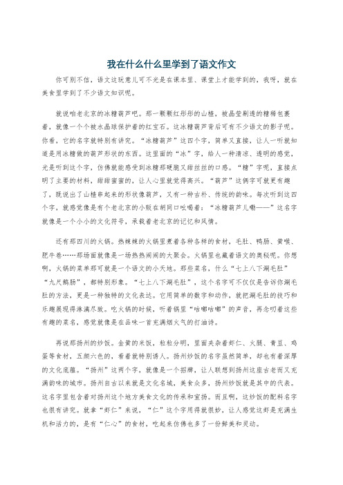 我在什么什么里学到了语文作文