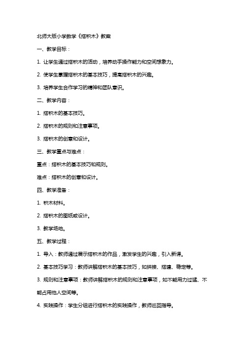 北师大版小学数学《搭积木》 教案