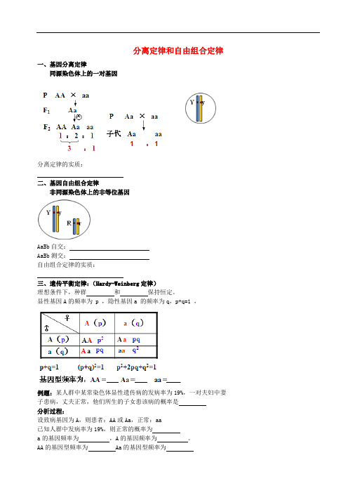 北京市高考生物总复习 遗传与进化——遗传的基本规律 分离定律和自由组合定律学案(无答案)