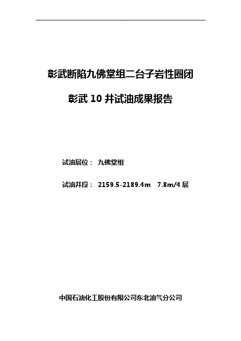 彰武10井试油报告全部整合