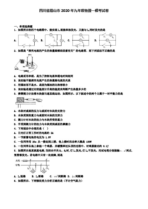 四川省眉山市2020年九年级物理一模考试卷
