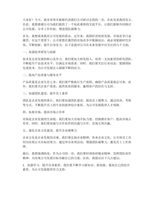 公司研讨会团员发言稿范文