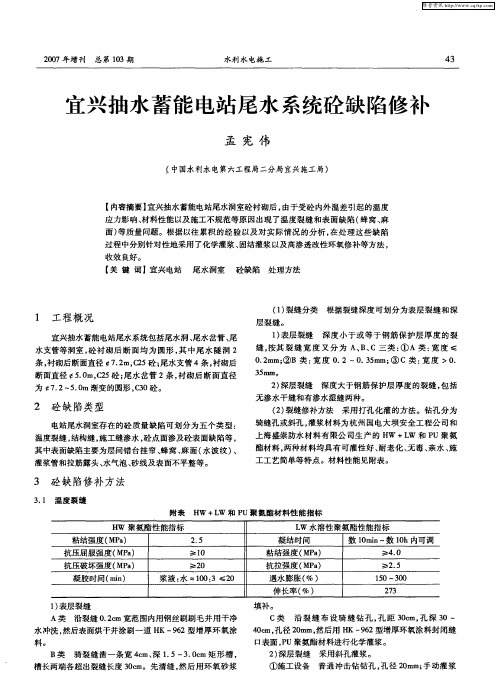 宜兴抽水蓄能电站尾水系统砼缺陷修补