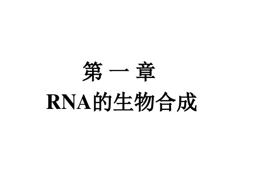 第十四章RNA的生物合成电子教案