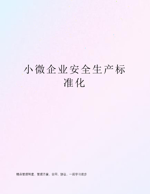 小微企业安全生产标准化