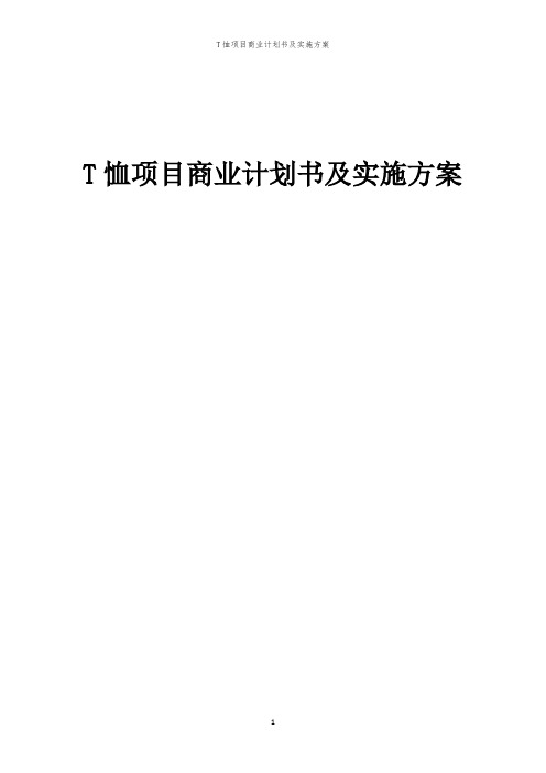 T恤项目商业计划书及实施方案「中弘咨询」