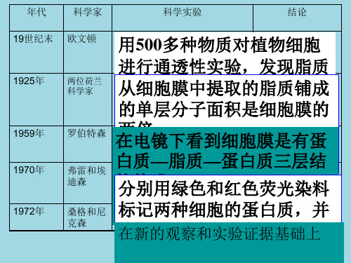 细胞的物质输入和输出PPT教学课件