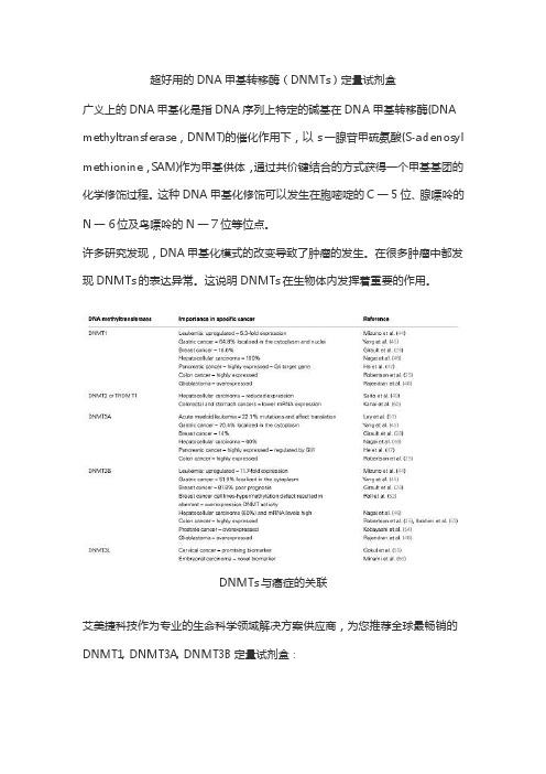 超好用的DNA甲基转移酶（DNMTs）定量试剂盒