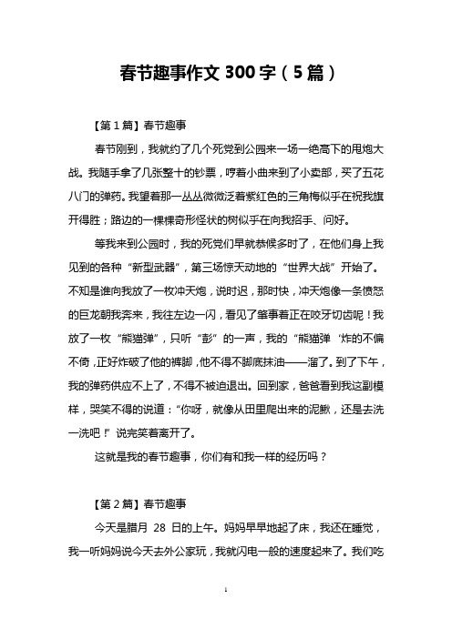 春节趣事作文300字(5篇)