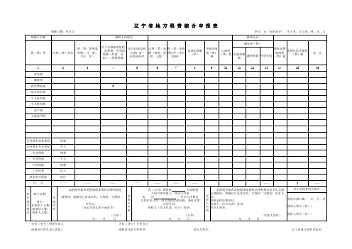 辽宁省地方税费综合申报表及财务报表