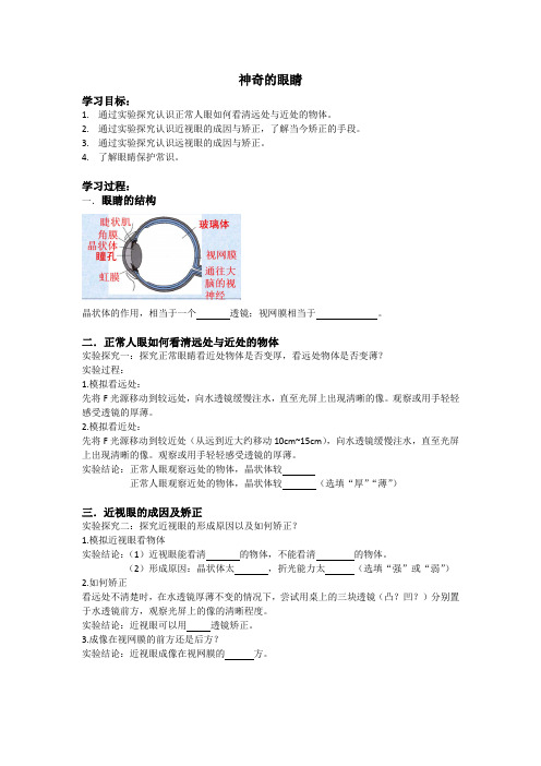 《神奇的眼睛》优秀学案