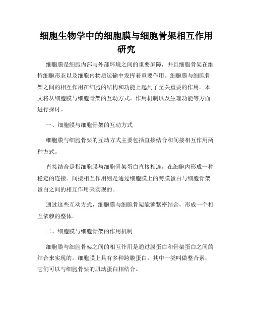 细胞生物学中的细胞膜与细胞骨架相互作用研究