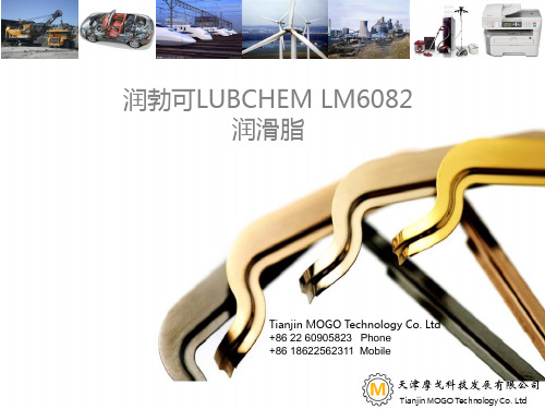 润勃可LUBCHEM LM6082润滑脂