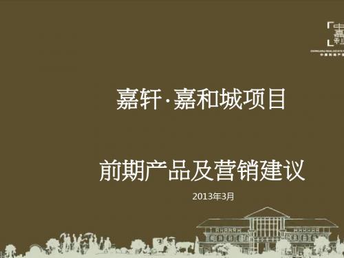 某项目前期产品及营销建议(PPT 40张)