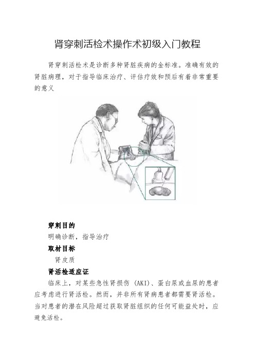 肾穿刺活检术操作术目的适应症禁忌症、手术评估准备风险及患者术后管理