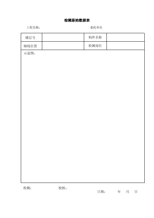 检测数据原始记录表