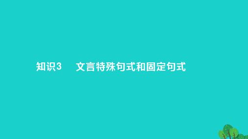 2023版高考语文一轮总复习专题四文言文阅读知识3文言特殊句式和固定句式课件