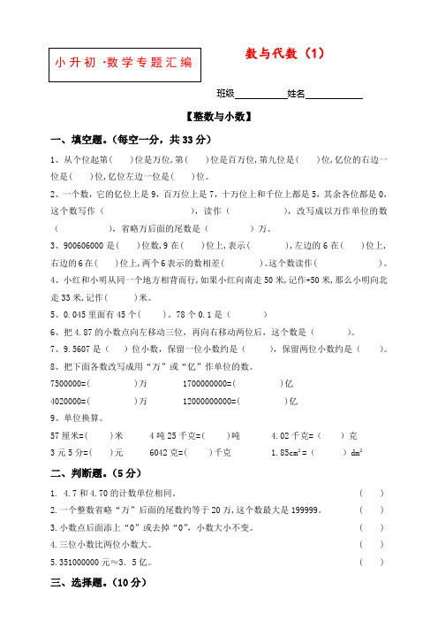 人教版小升初数学专项训练：专题数与代数(答案)