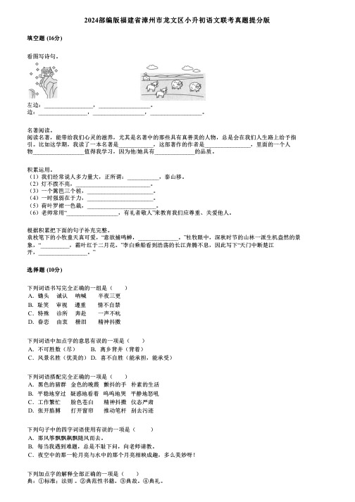 2024部编版福建省漳州市龙文区小升初语文联考真题提分版