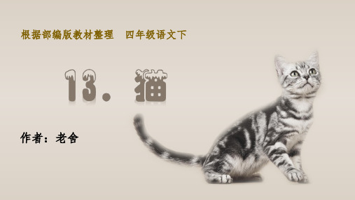 部编版四年级语文下册第13课《猫》优秀PPT课件