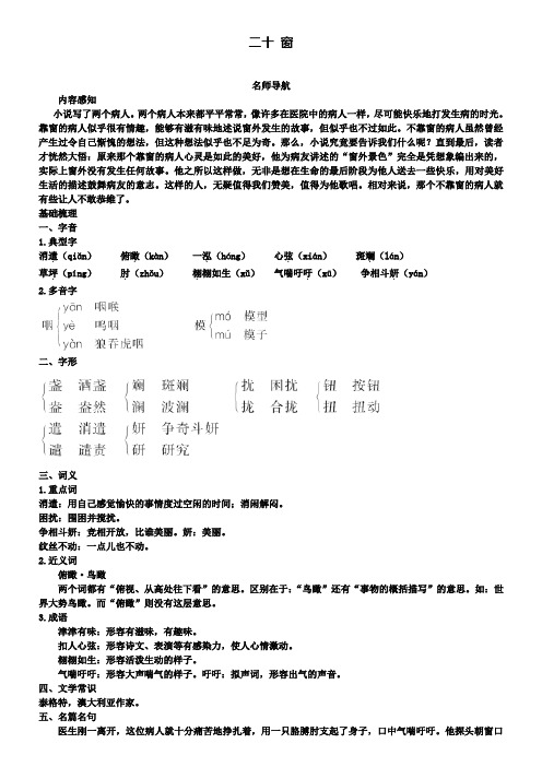 八年级下册语文苏教版导学案：20窗