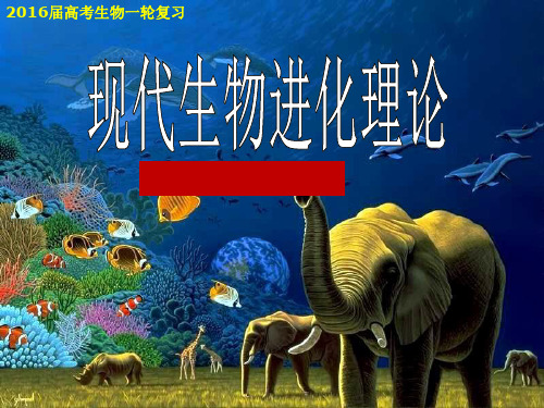 现代生物进化理论一轮复习参赛精品PPT课件