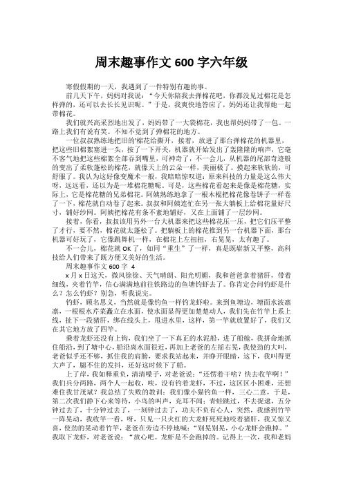 周末趣事作文600字六年级