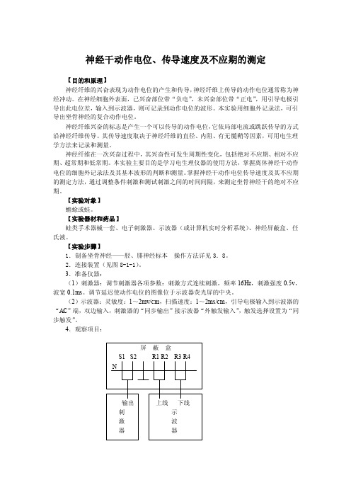 实验一神经干动作电位的引导,兴奋传导速度及不应期的测定