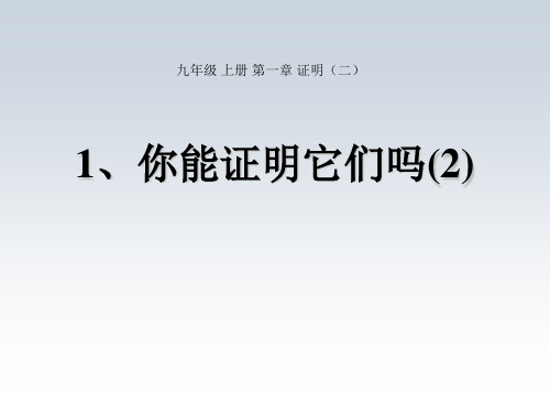 初三数学最新课件-你能证明它们吗 精品