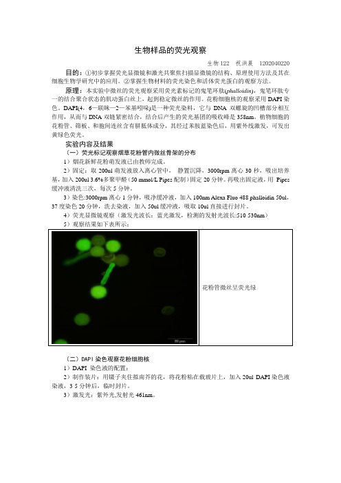 细胞生物学实验②荧光显微镜——生物样品的荧光观察