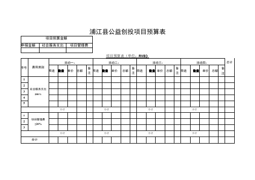 浦江县公益创投项目预算表