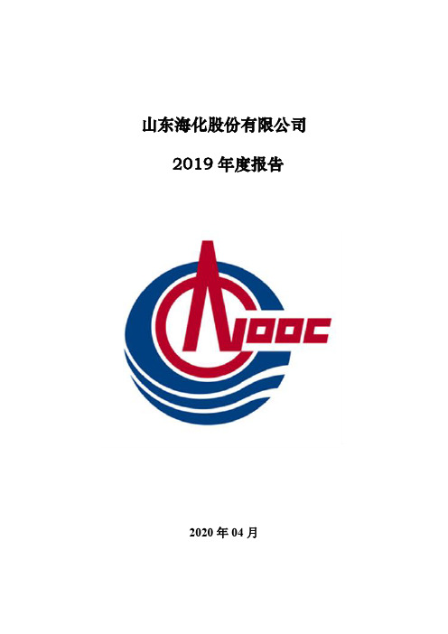 山东海化：2019年年度报告